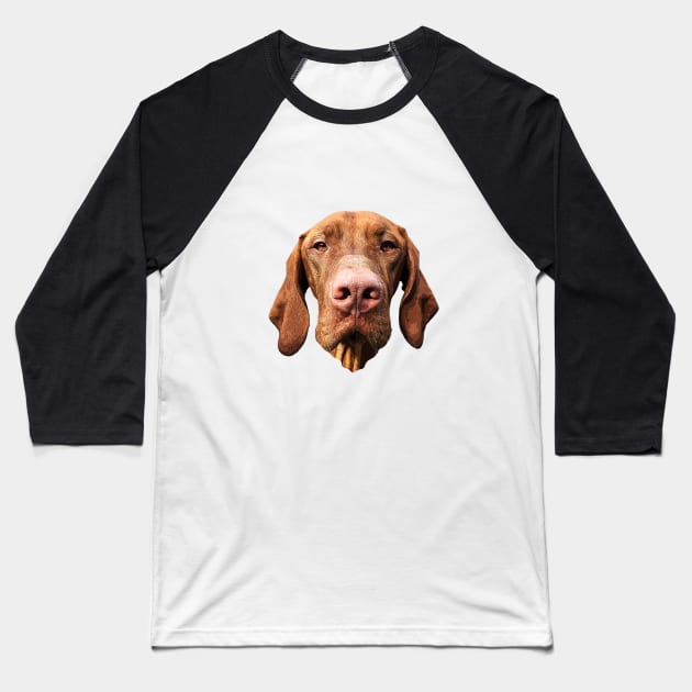 Vizsla Hungarian Vizsla Art Baseball T-Shirt by ElegantCat